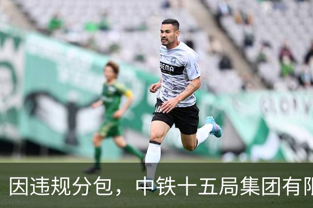 因违规分包，中铁十五局集团有限公司被暂停全军物资工程服务采购